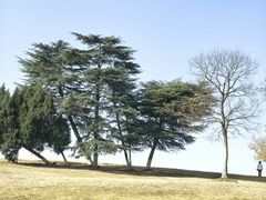 -钟山体育运动公园