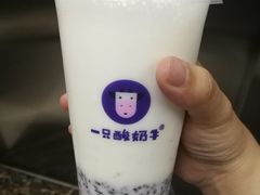 -一只酸奶牛(曲江龙湖星悦荟店)