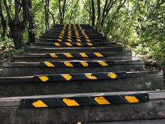 -帽儿山国家森林公园