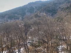 -阳台山自然风景区