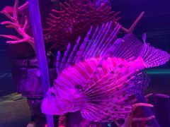 -沈阳海洋探索中心