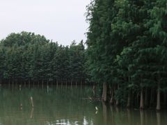 -苏州太湖国家湿地公园
