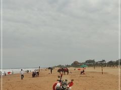 -东海岛旅游度假区
