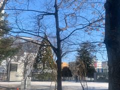-札幌电视塔