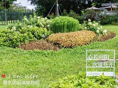 -云溪植物园