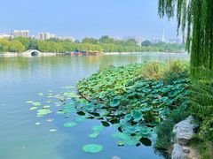 -济南大明湖景区
