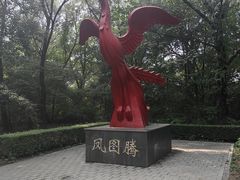 -沈阳鸟岛