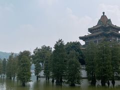 -顺峰山公园