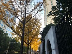 -徐家汇源景区-衡山坊