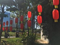 -万绿园
