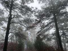 -敬亭山风景名胜区