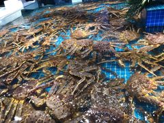 -驻海渔市(置信店)