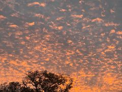 -Long Bar(莱佛士酒店)