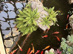 -广州白天鹅宾馆