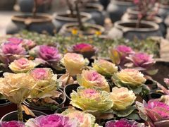 -瓦库茶馆17号(海汇港店)