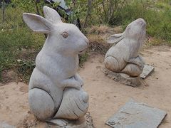 -象山森林公园