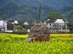 -绩溪龙川景区