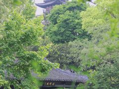 -上海方塔园