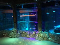 -沈阳海洋探索中心