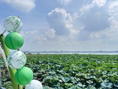 -七的湖·晚芳亭·阳澄湖农家菜·大闸蟹(莲花岛店)