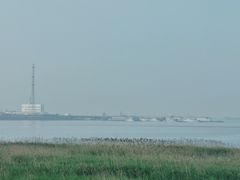 -莆鑫海鲜城(浏河店)