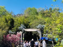 -王顺山国家森林公园