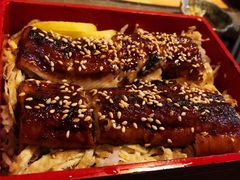 -立山居酒屋·烧鸟 天妇罗(西北湖店)