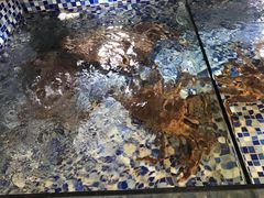 -先锋海鲜市场
