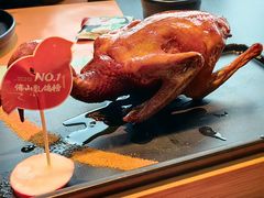 -羽鸽集·乳鸽专门店·地道顺德菜(岭南站店)