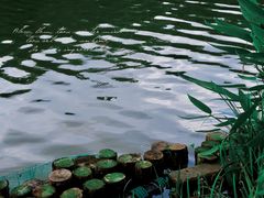 -南国桃园旅游度假区