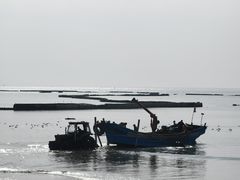 -福如东海文化园