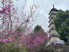-天台山赤城山景区