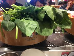 -龍歌自助小火锅(李沧顺和汇店)