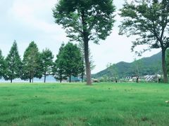 -青岛海尔洲际酒店