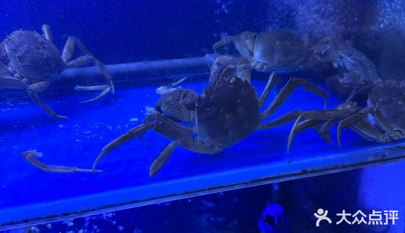 今天的美食探店之旅