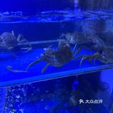 今天的美食探店之旅