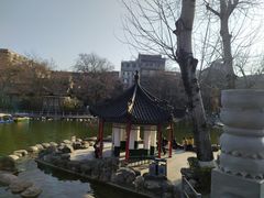 -莲湖公园