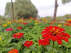 -艾溪湖湿地公园