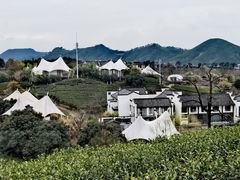 -帐篷客·溪龙茶谷度假酒店