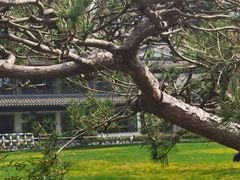 -浙江西子宾馆·牡丹厅