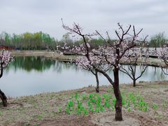 -东郊湿地公园