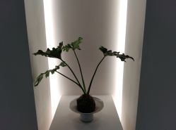 -颜蕾医美·黄金微针·水光·玻尿酸·超声炮·抗衰中心