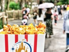 -迪士尼火鸡腿