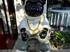 -卢小厨私房菜(长兴店)