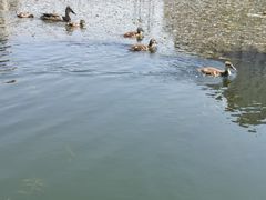 -前关湿地公园