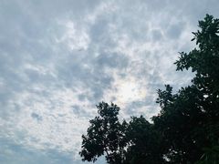 -新白鹿餐厅(爱琴海购物中心店)
