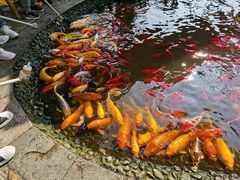 -成飞公园