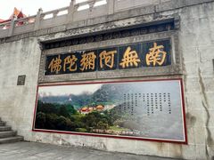 -深圳仙湖植物园