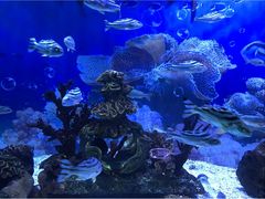 -海合安成都极地海洋公园