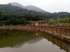 -清溪大王山森林公园